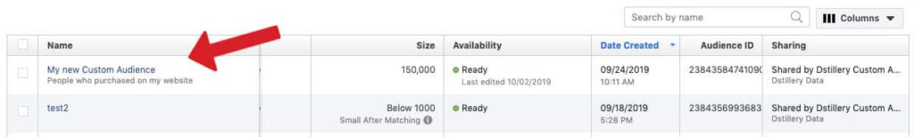 Custom Audiences - Step 5