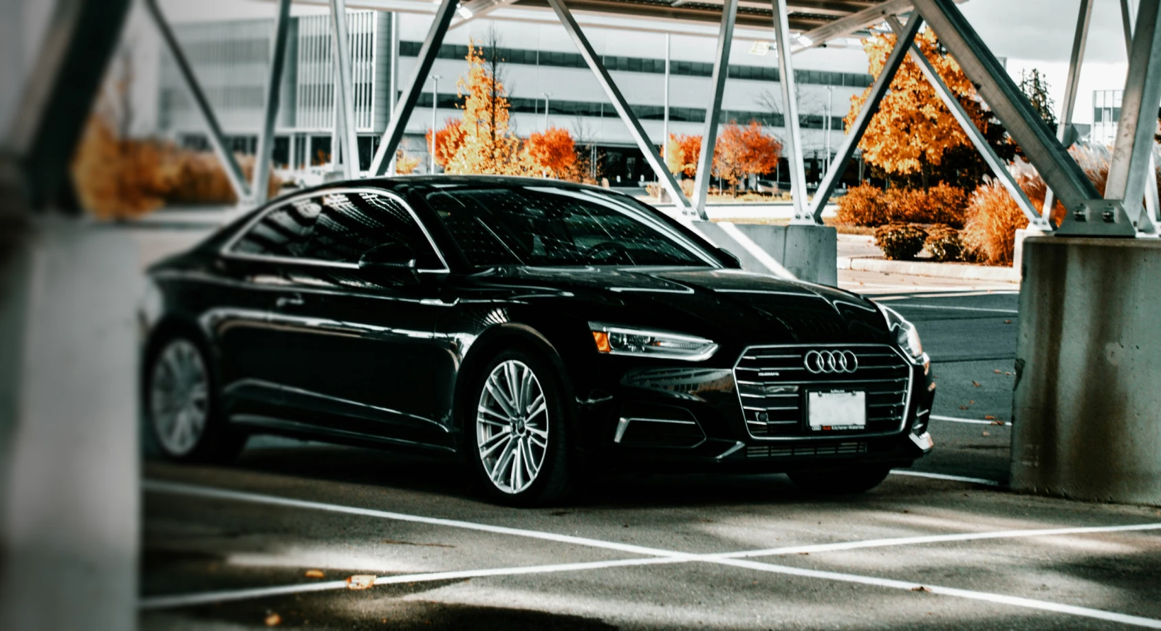 SOKAL – Anthony Santi